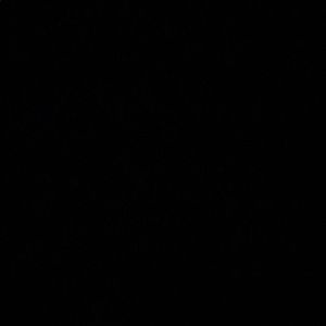 Meet your Posher, Nina